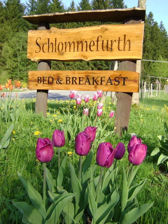 Bed & Breakfast Schlommefurth Bed & Breakfast St. Vith Eksteriør bilde